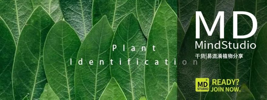 苏州和悦塘前雅院示范区丨中国苏州丨MIND迈德景观,上海申城建筑设计有限公司-79