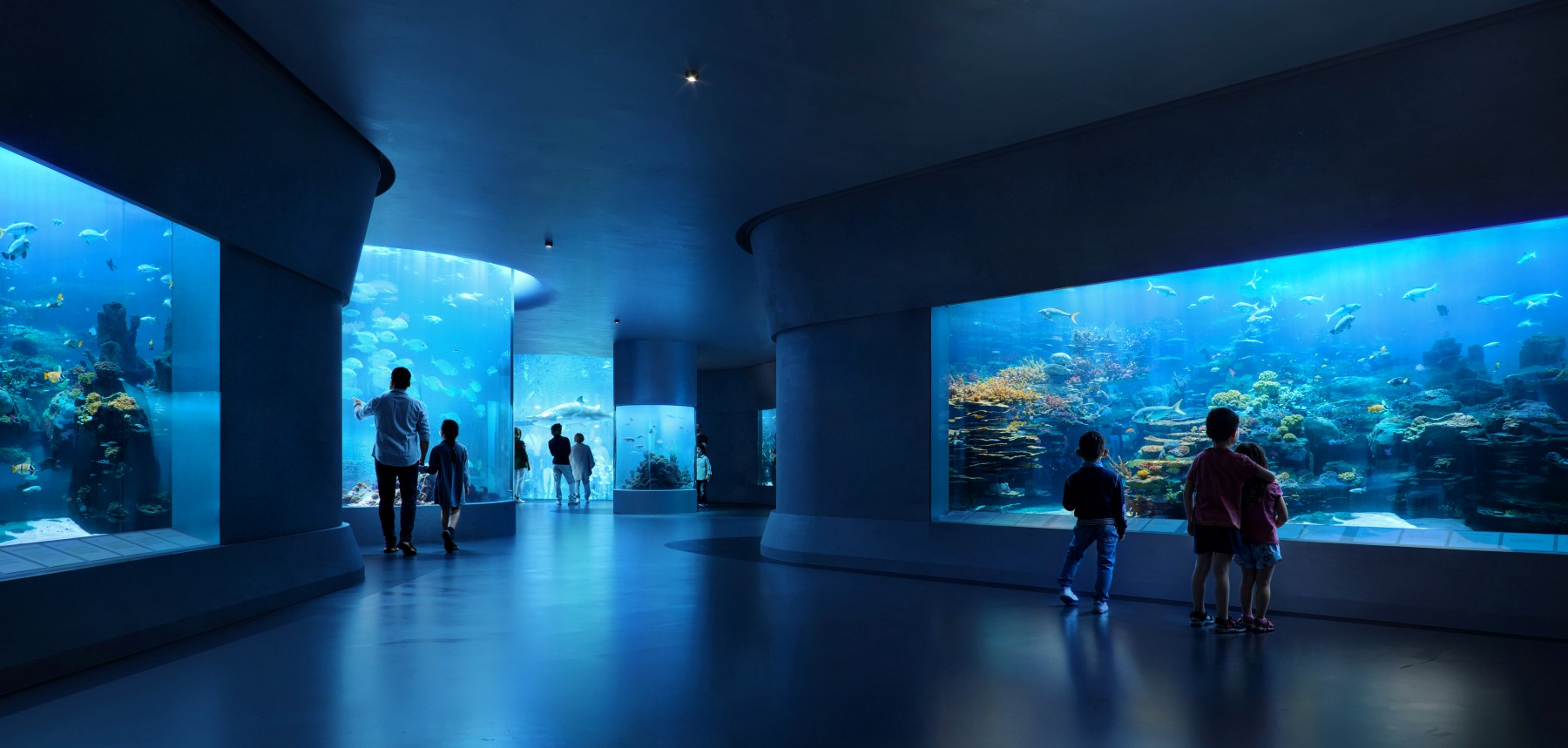 地中海文化中心丨意大利雷焦卡拉布里亚丨扎哈·哈迪德建筑事务所-33