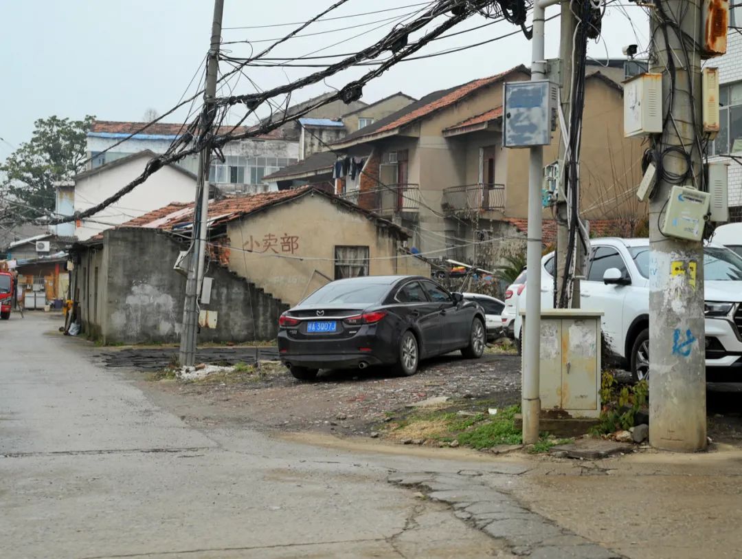 陈海峰  影像纪实 / 东湖之上-23