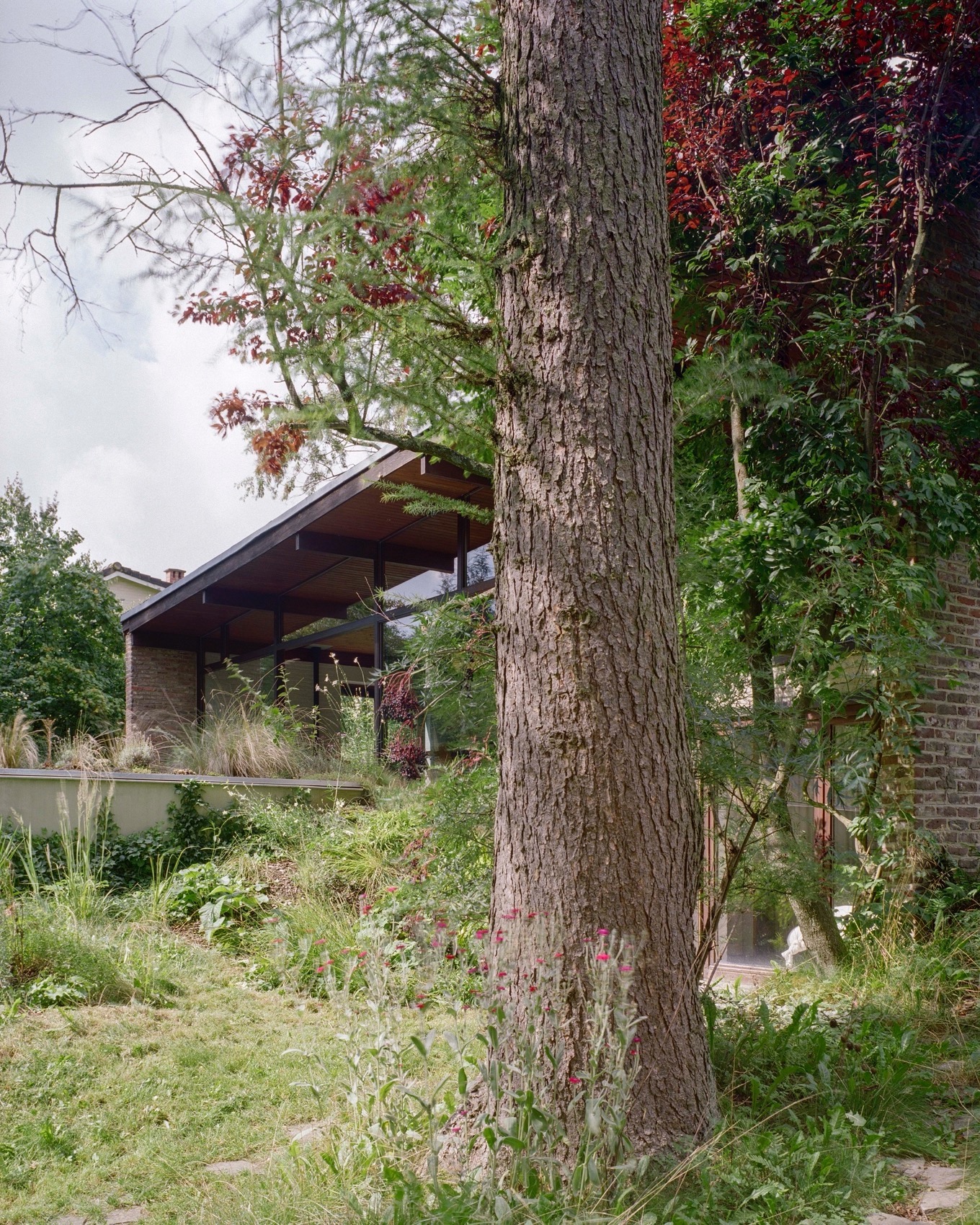 Kelleveld 住宅改造丨比利时丨Mamout architectes-24