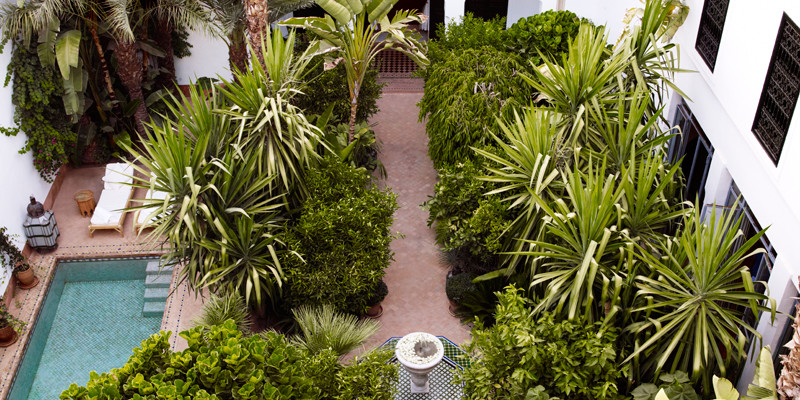 贾斯珀·康兰的摩洛哥宫殿酒店设计-0