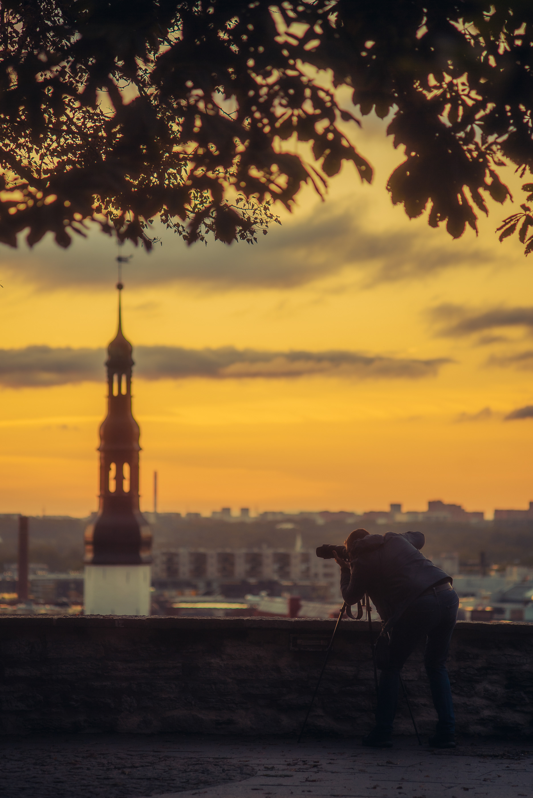 Tallinn Old Town 室内设计-0