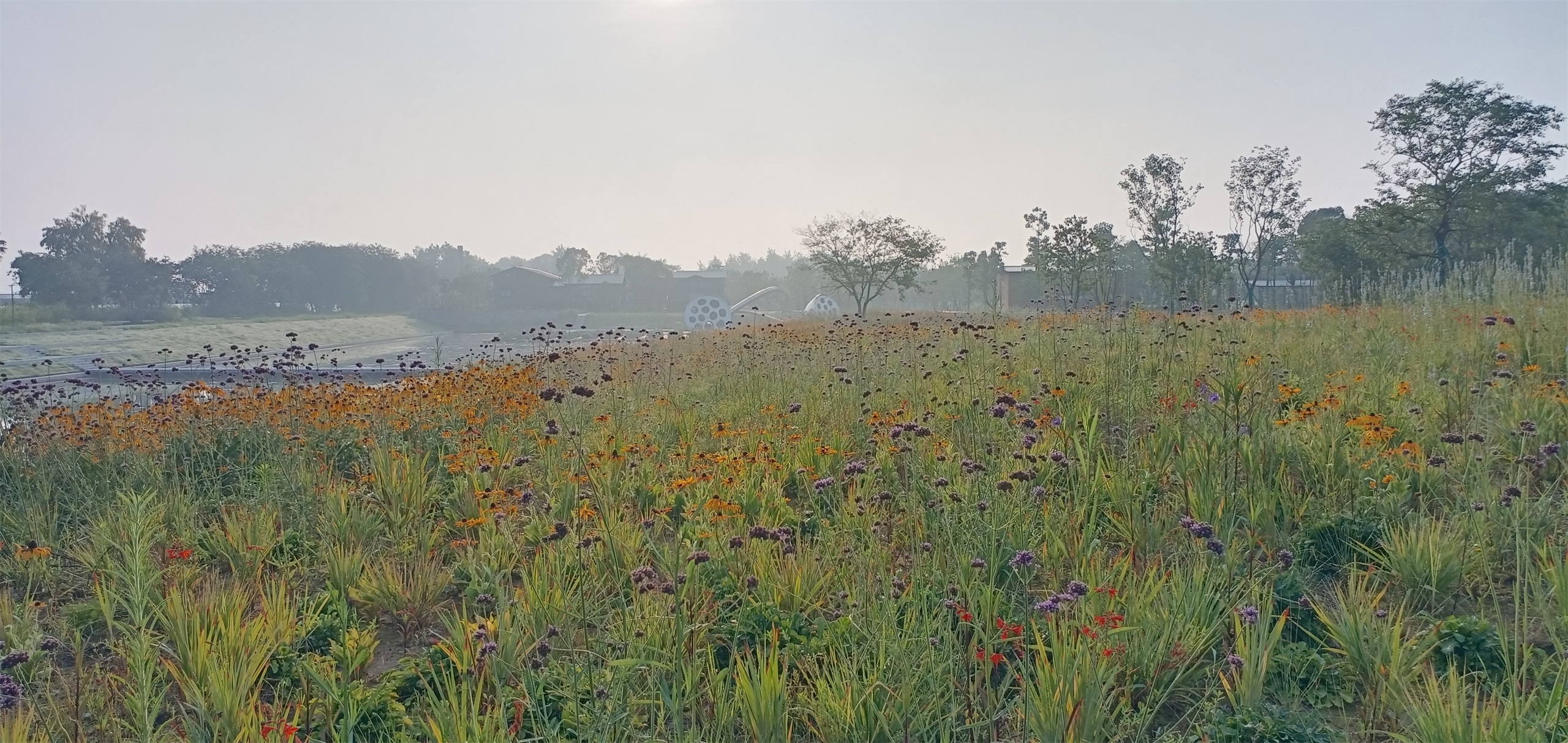 凤翔洲水文化公园丨中国衢州丨张唐景观-7