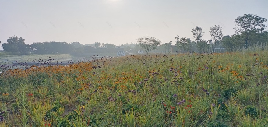 凤翔洲水文化公园丨中国衢州丨张唐景观-7