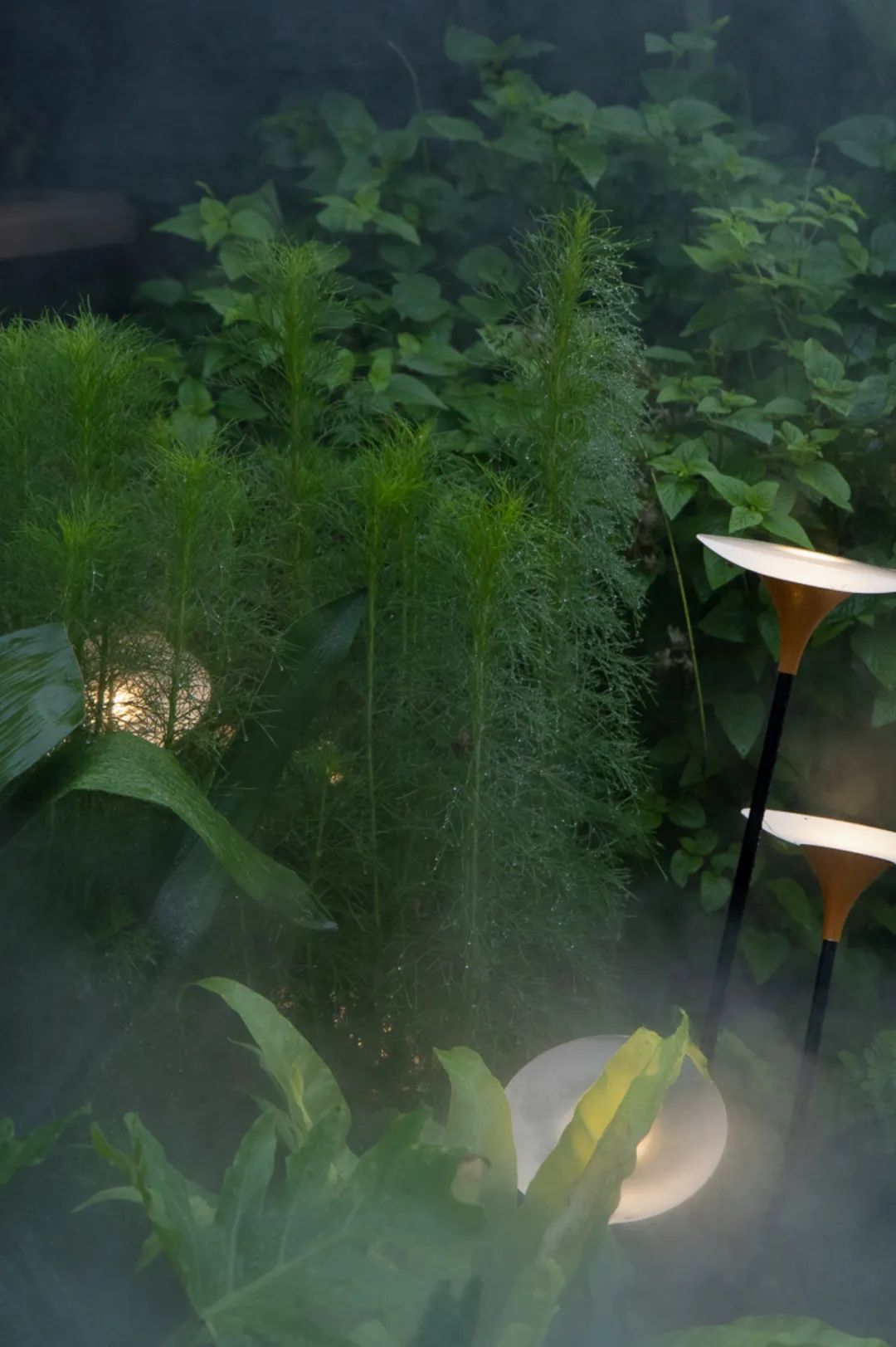 夏日雨林 | 成都德桦·御湖和境-57