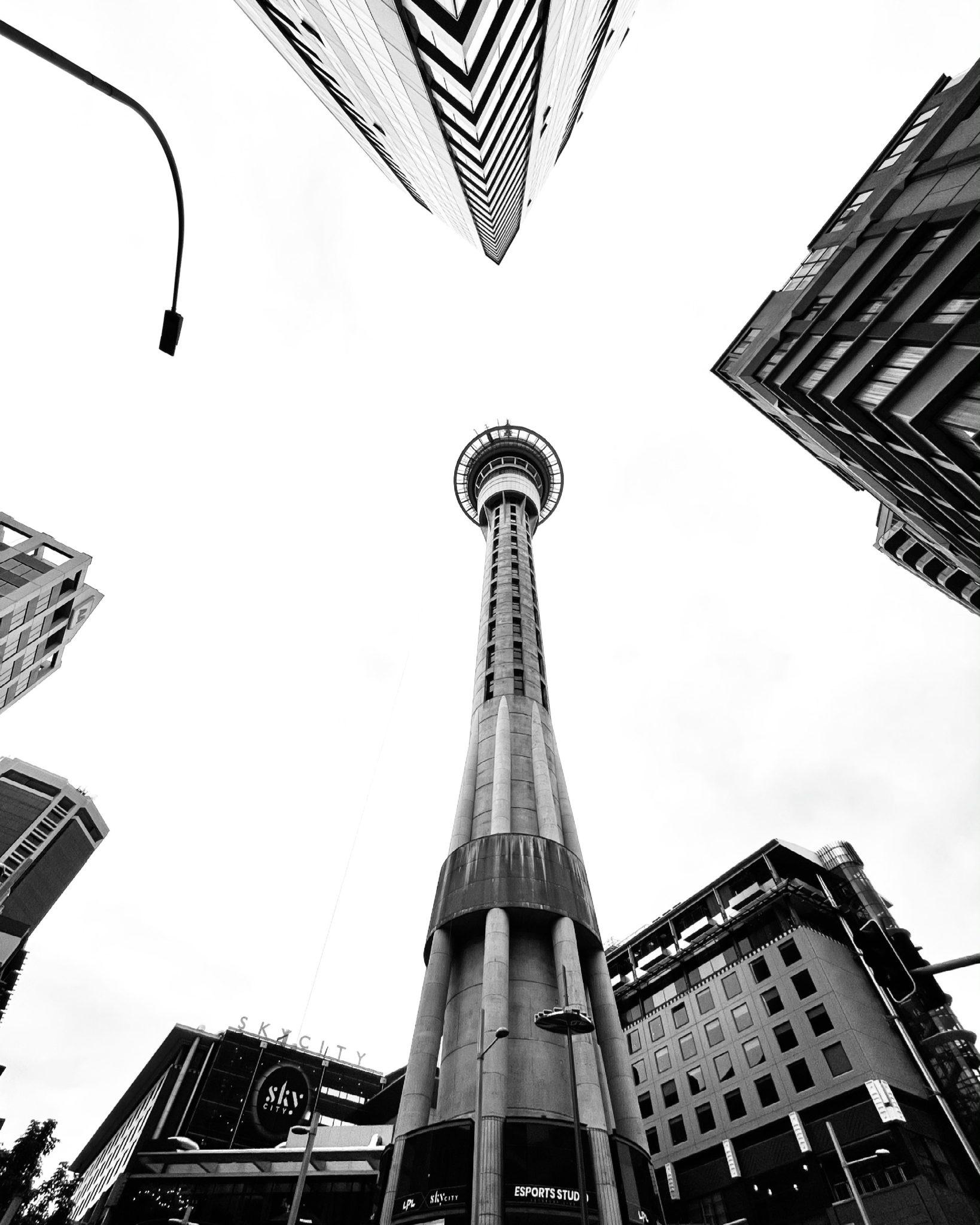 Local snapshot - Auckland | Woods Bagot-2