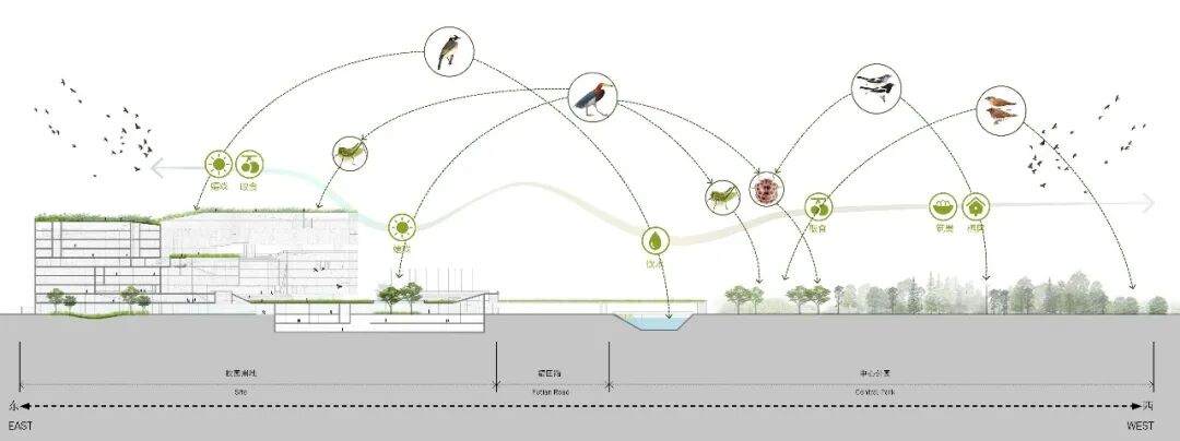 【AT建筑】城市中的“城市”——福田中学校园设计（byreMIX临界工作室）-227