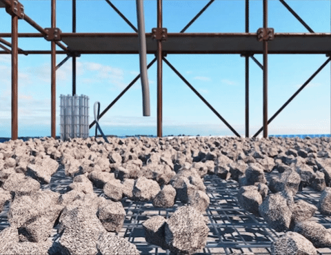 【建证·筑梦】建证“木棉花开”-14