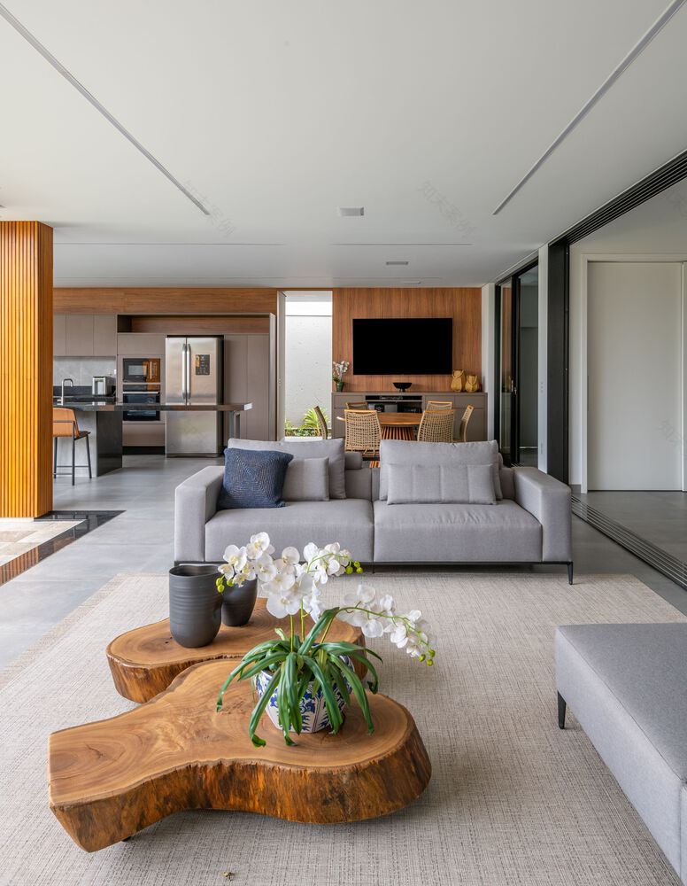 Patio House,现代家庭共享空间设计-13