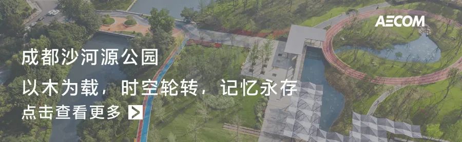 抚仙湖星空小镇 | 生态修复的人与自然和谐共生典范-107