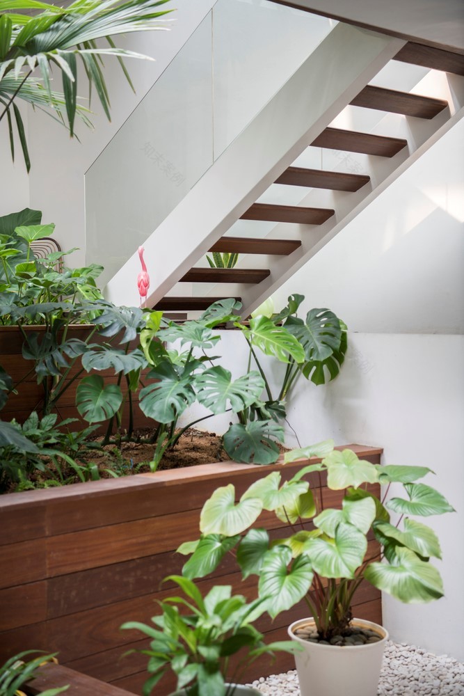 雅加达哈里曼住宅 | 艺术气息与自然共融的设计-23