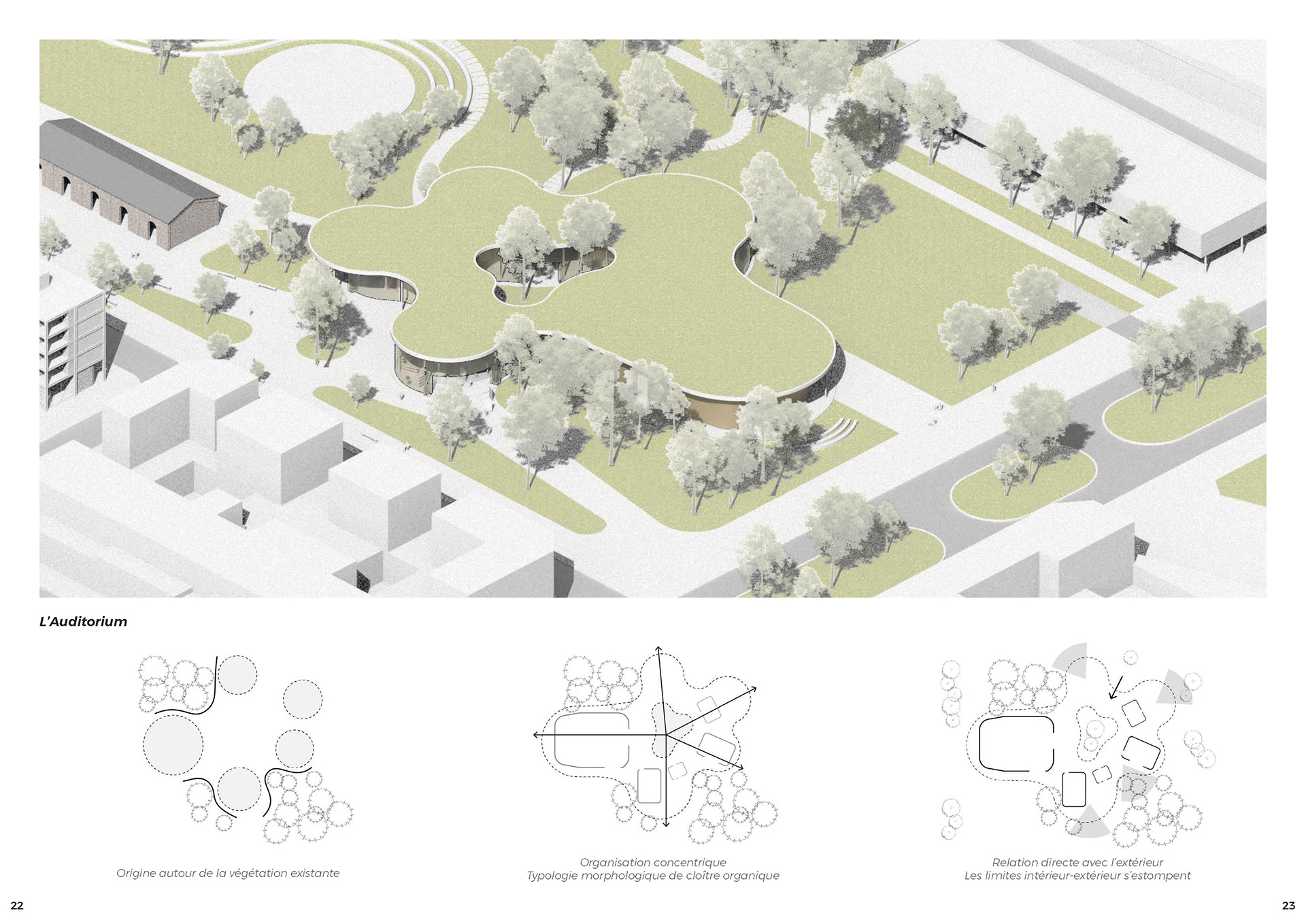 Portfolio - ANA VENTRELLI-11