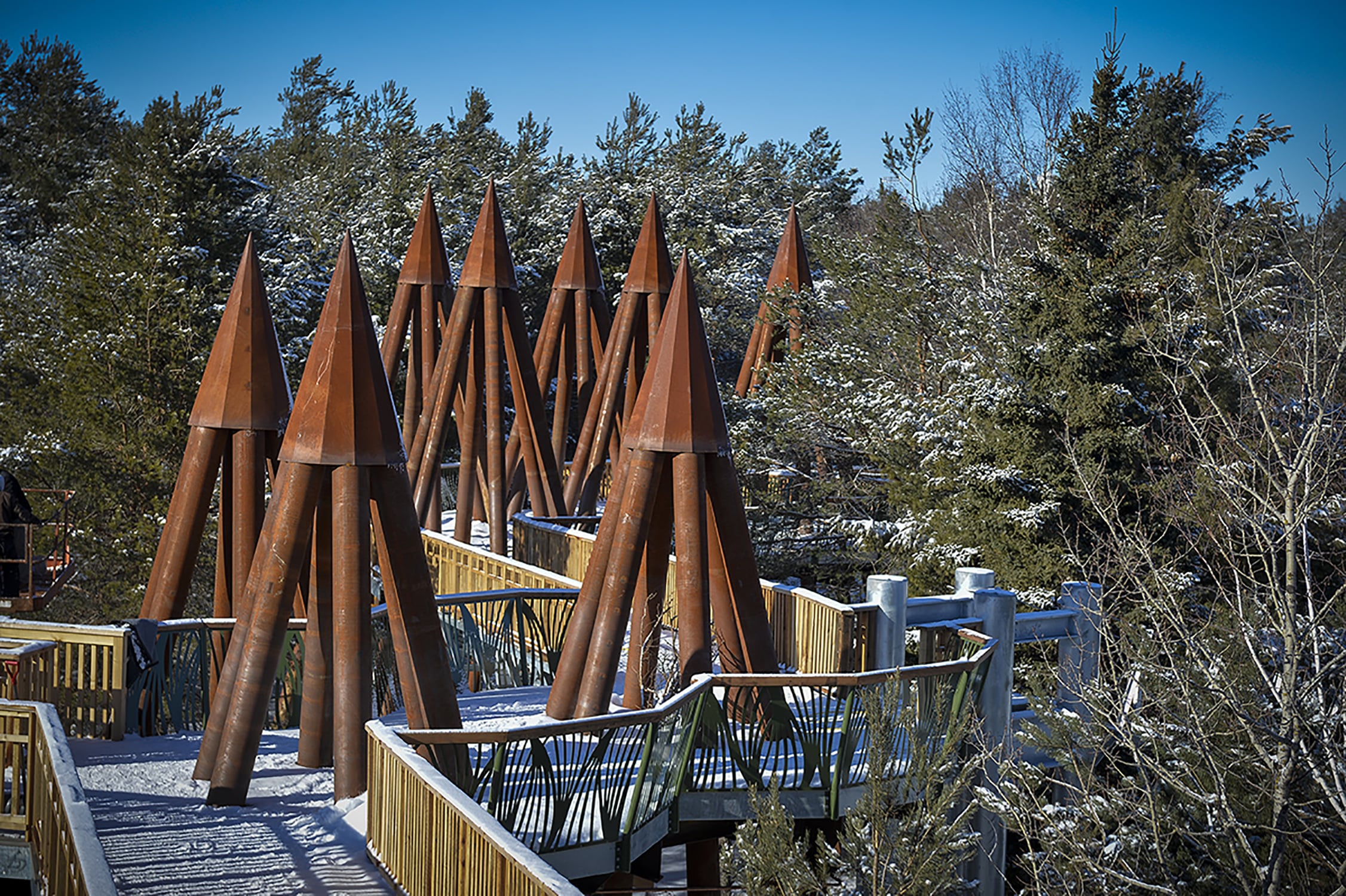 野性漫步 · 融入自然的高空步道设计-10