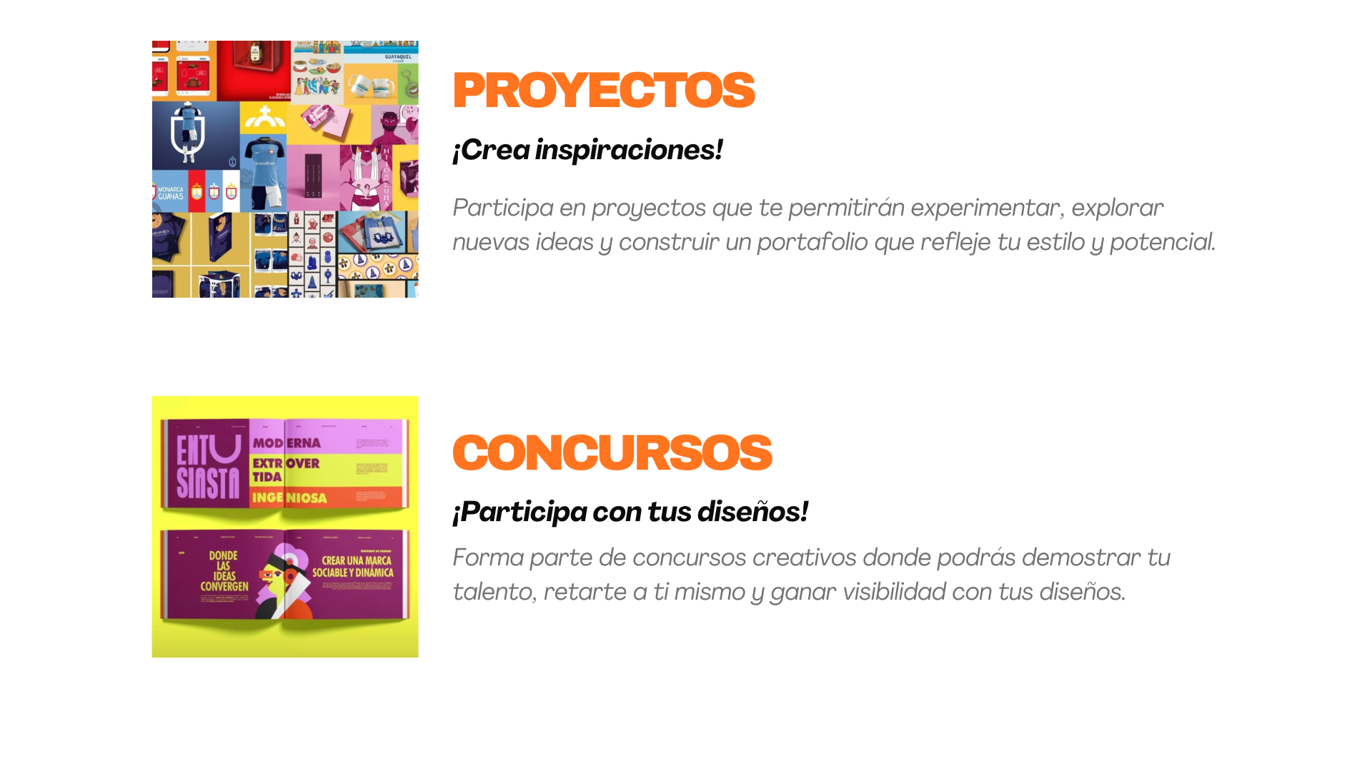 página web-4
