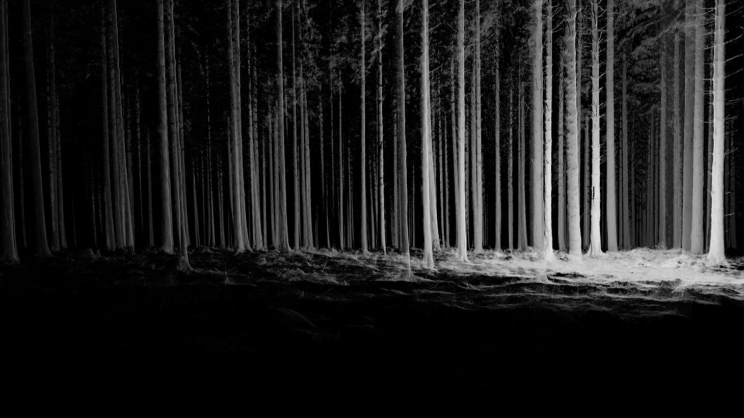 人工智能 | 探索科学与艺术交融的边界-12