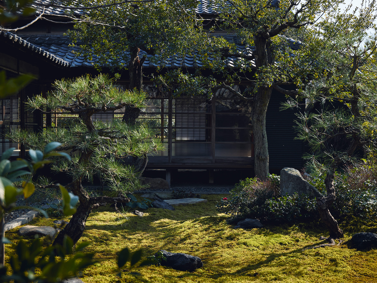 本岛避难所丨日本丨Makoto Yamaguchi-53