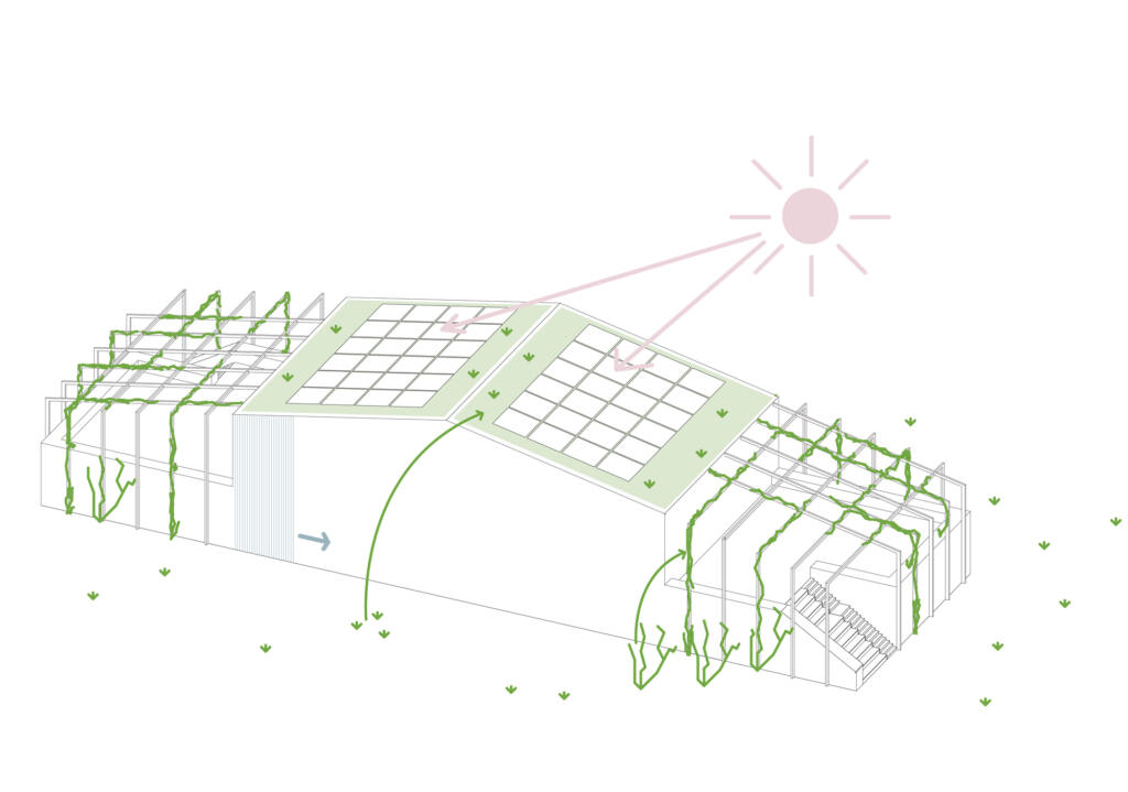 Horner Aufschwung - eins:eins architekten-34
