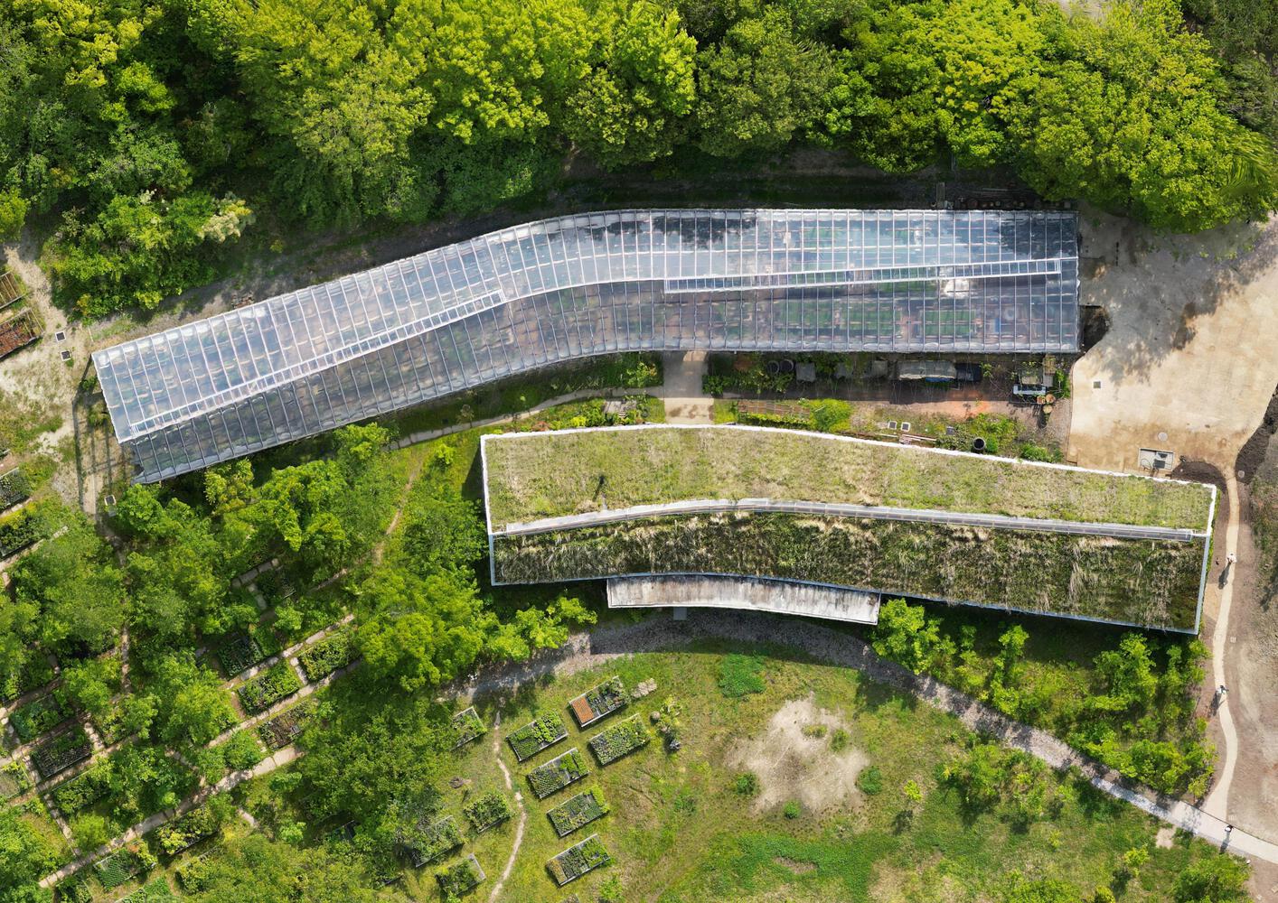 日本糖果农场之谷屋农业文化丨日本滋贺丨秋村飞行 C,京都大学全球环境建筑-10