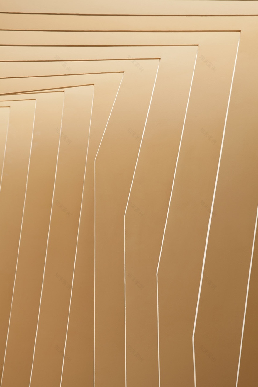 西藏自治区丁青县藏医院-36