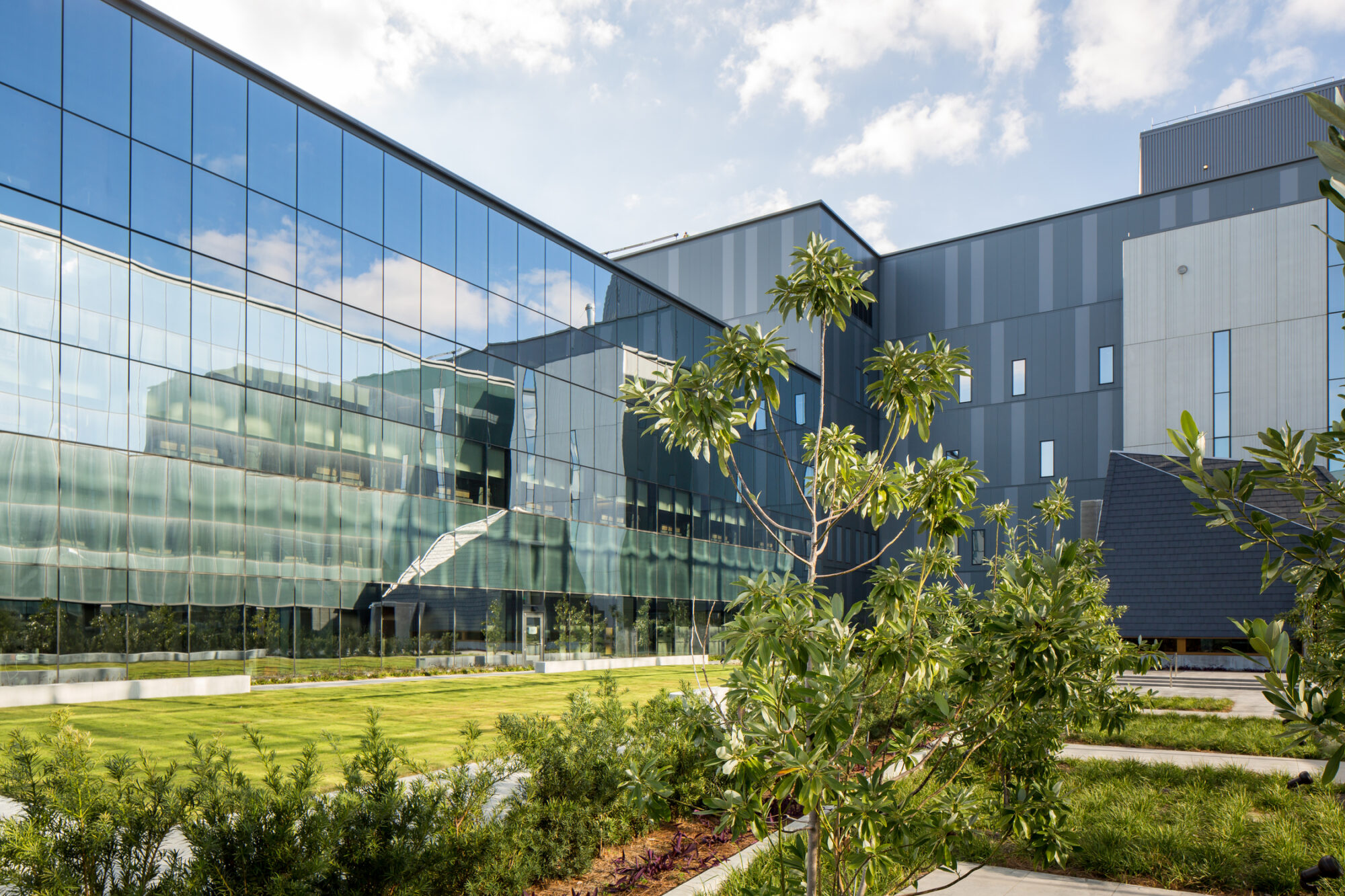 路易斯安那州东南退伍军人医护系统医学中心拆建项目 -4