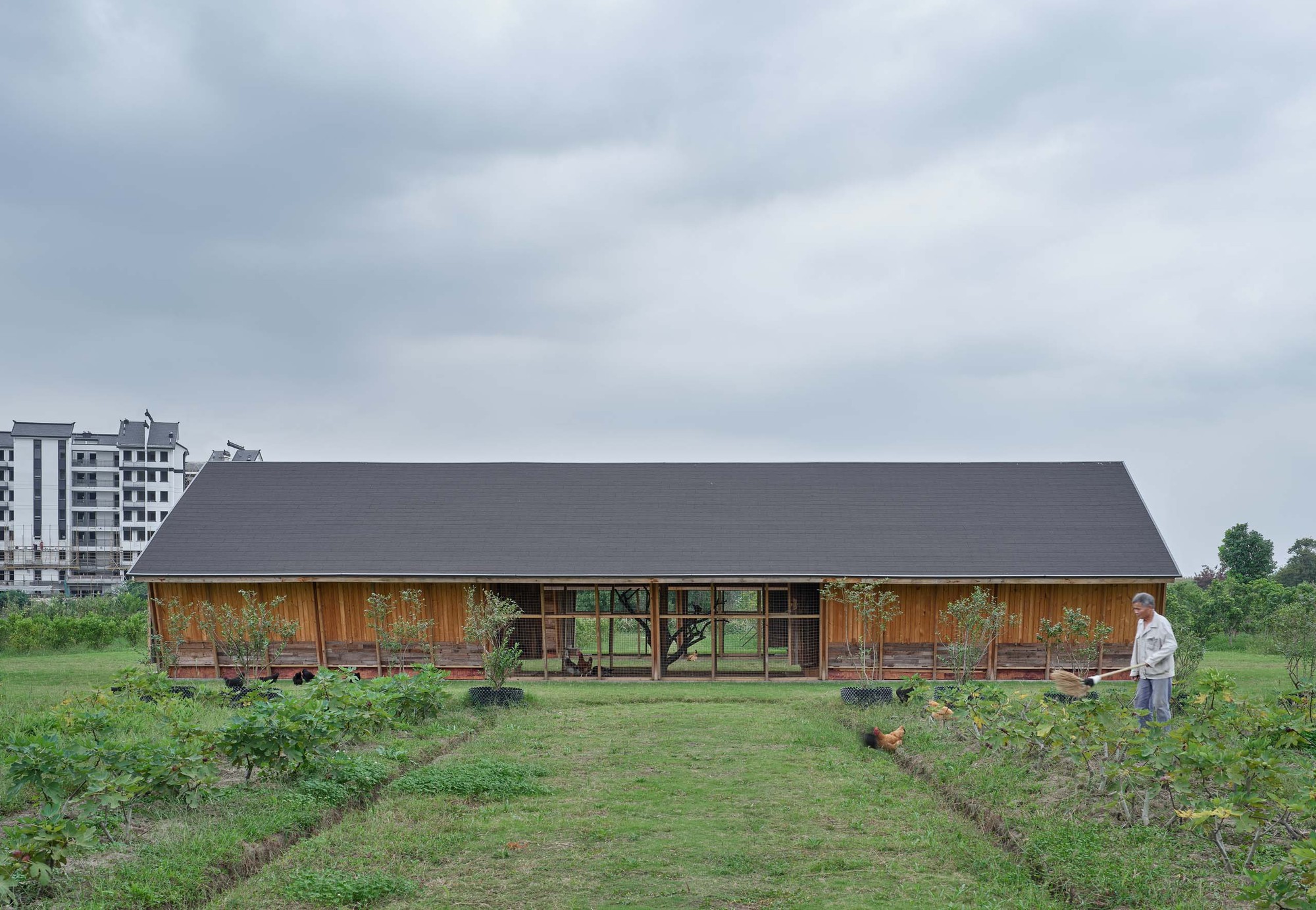 Næra Hotel 新型鸡舍设计丨Leeko Studio-8