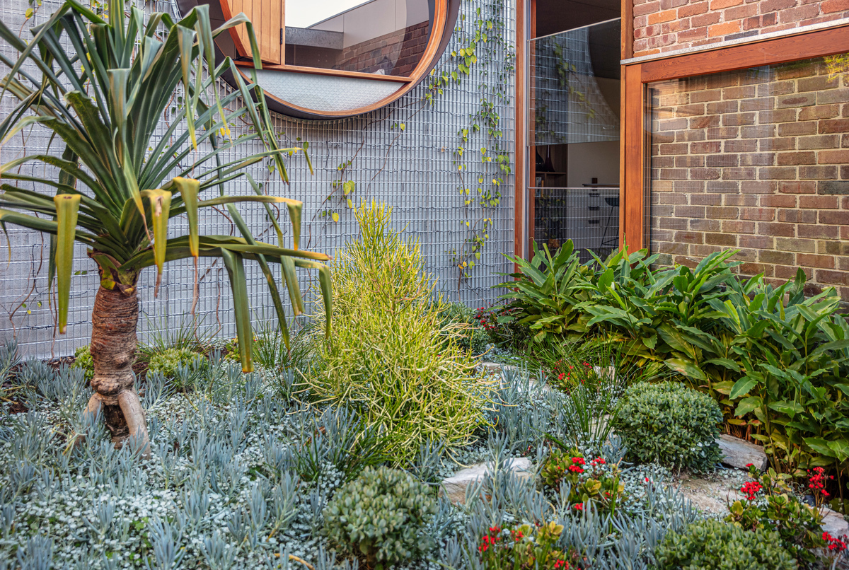 澳大利亚 Totoro 之家丨澳大利亚悉尼丨CplusC Architectural Workshop-41