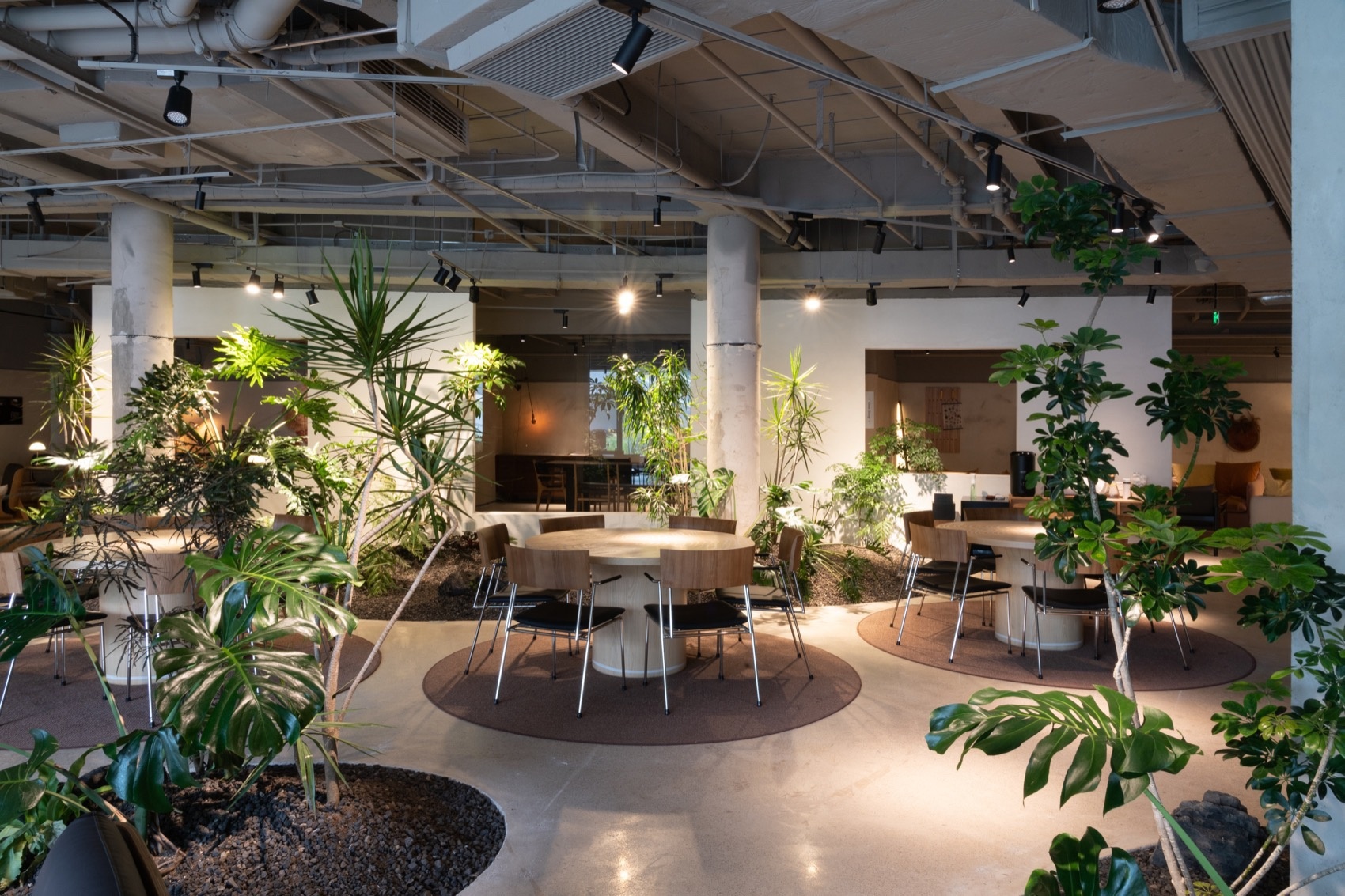 上海一尺花园前滩休闲公园咖啡店丨中国上海丨上海大形建筑规划设计有限公司-56