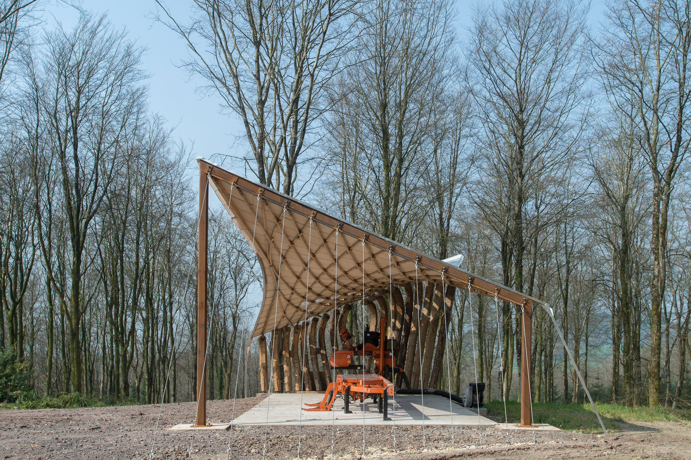AA Design - Make students test the limits of timber in tensile woodland canopy-2