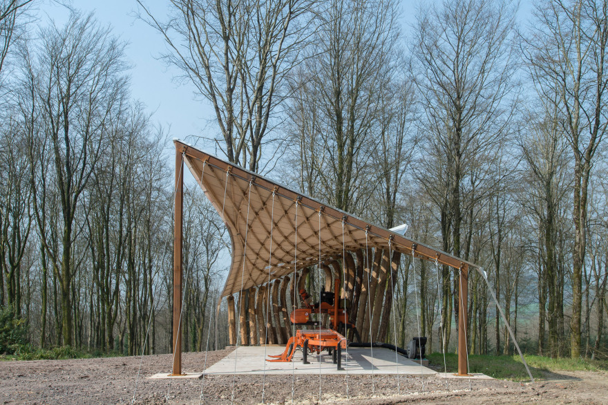 AA Design - Make students test the limits of timber in tensile woodland canopy-2