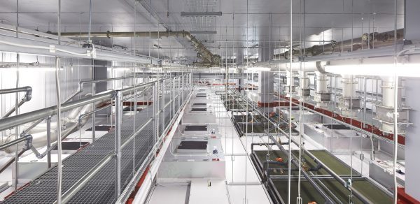 National Graphene Institute, University of Manchester | Jestico + Whiles-26