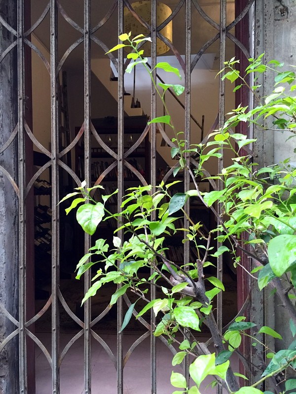 花最少的钱提升出租屋的逼格-46