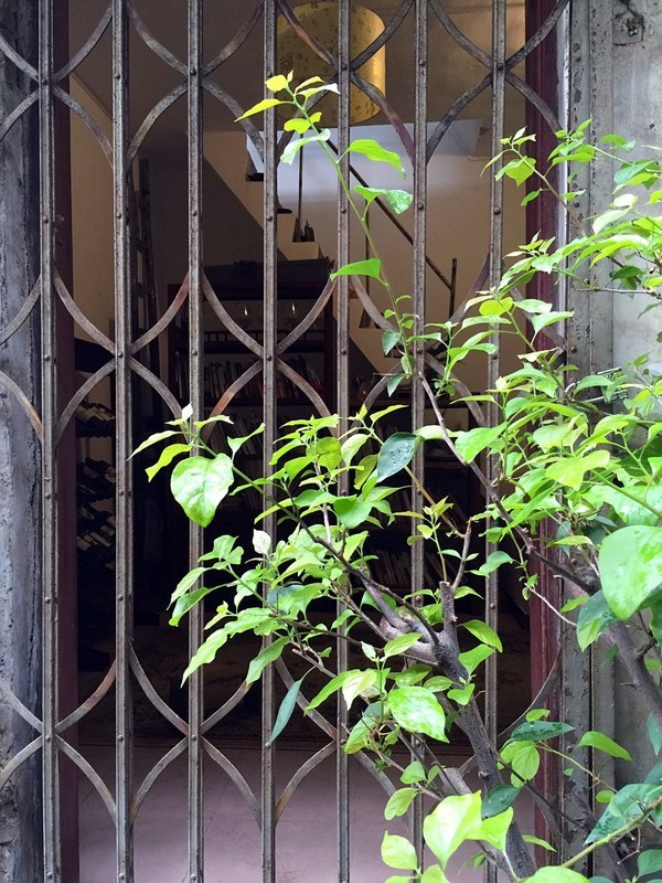 花最少的钱提升出租屋的逼格-46