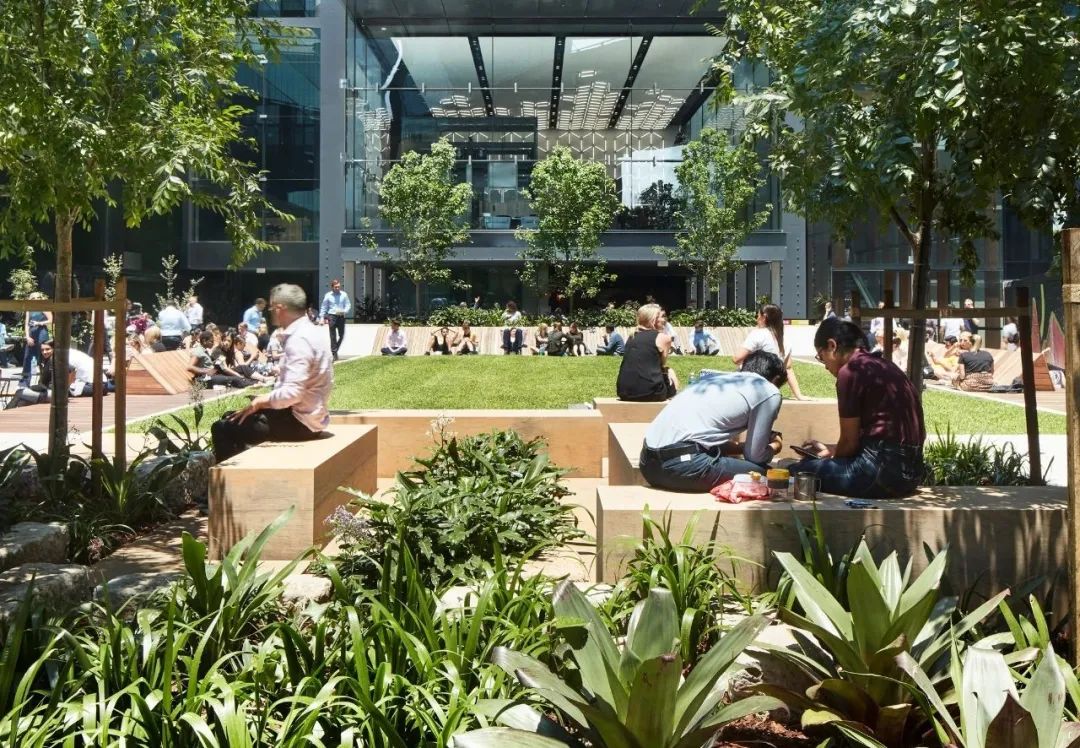 悉尼 Westpac Place 更新丨澳大利亚悉尼丨ASPECT Studios-12