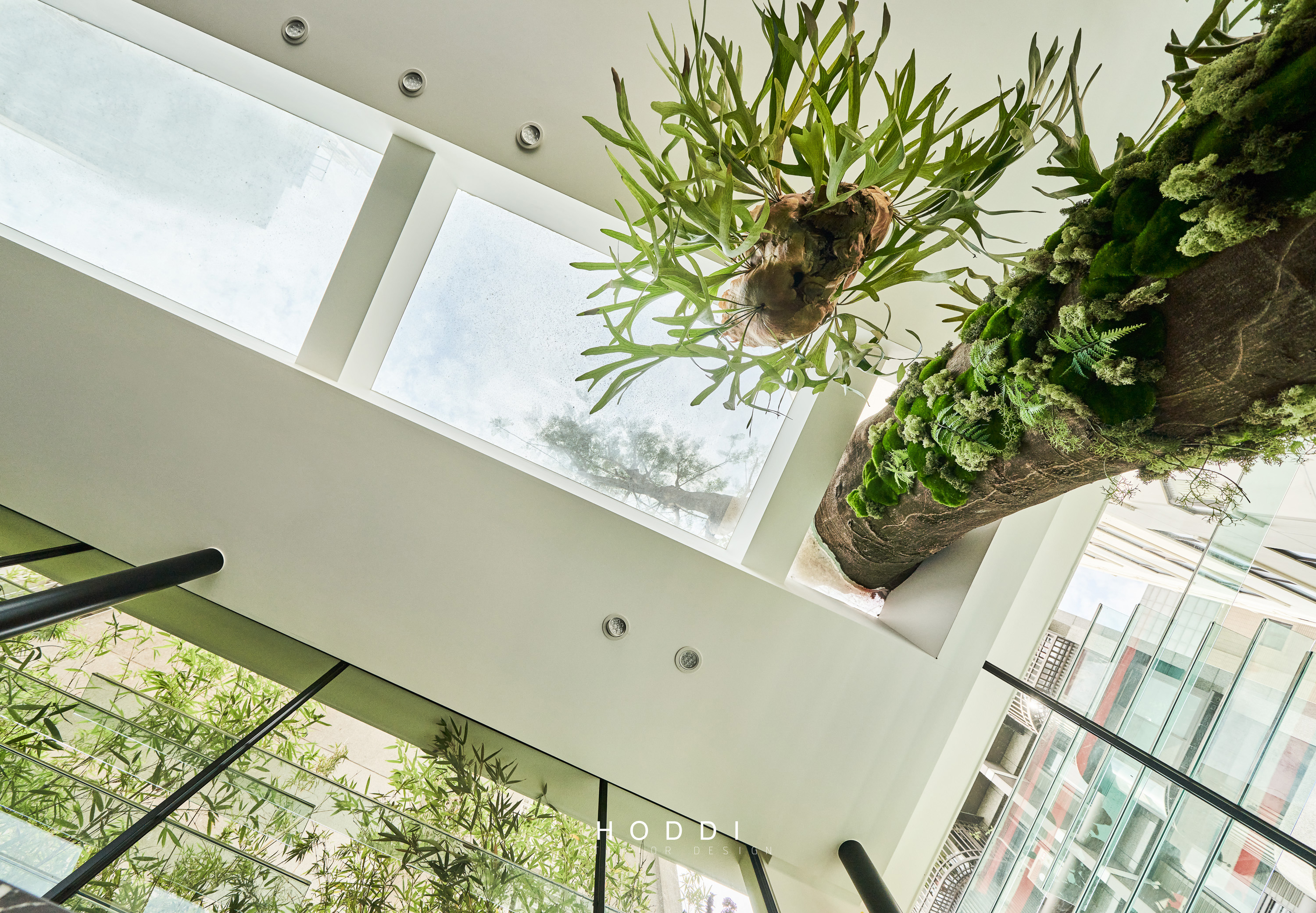 绿意盎然,古树下的茶室设计-8