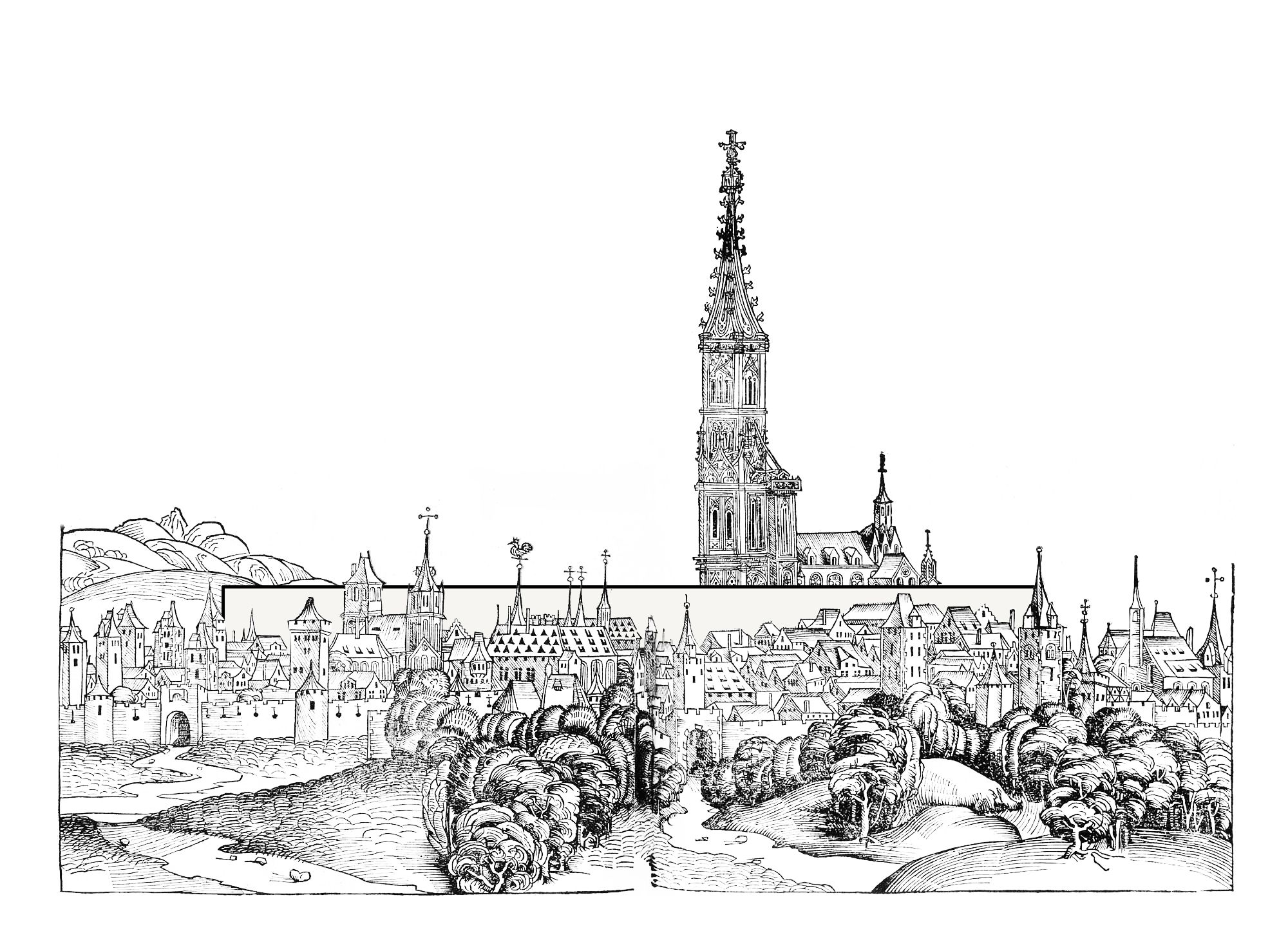 欧洲学校斯特拉斯堡-5