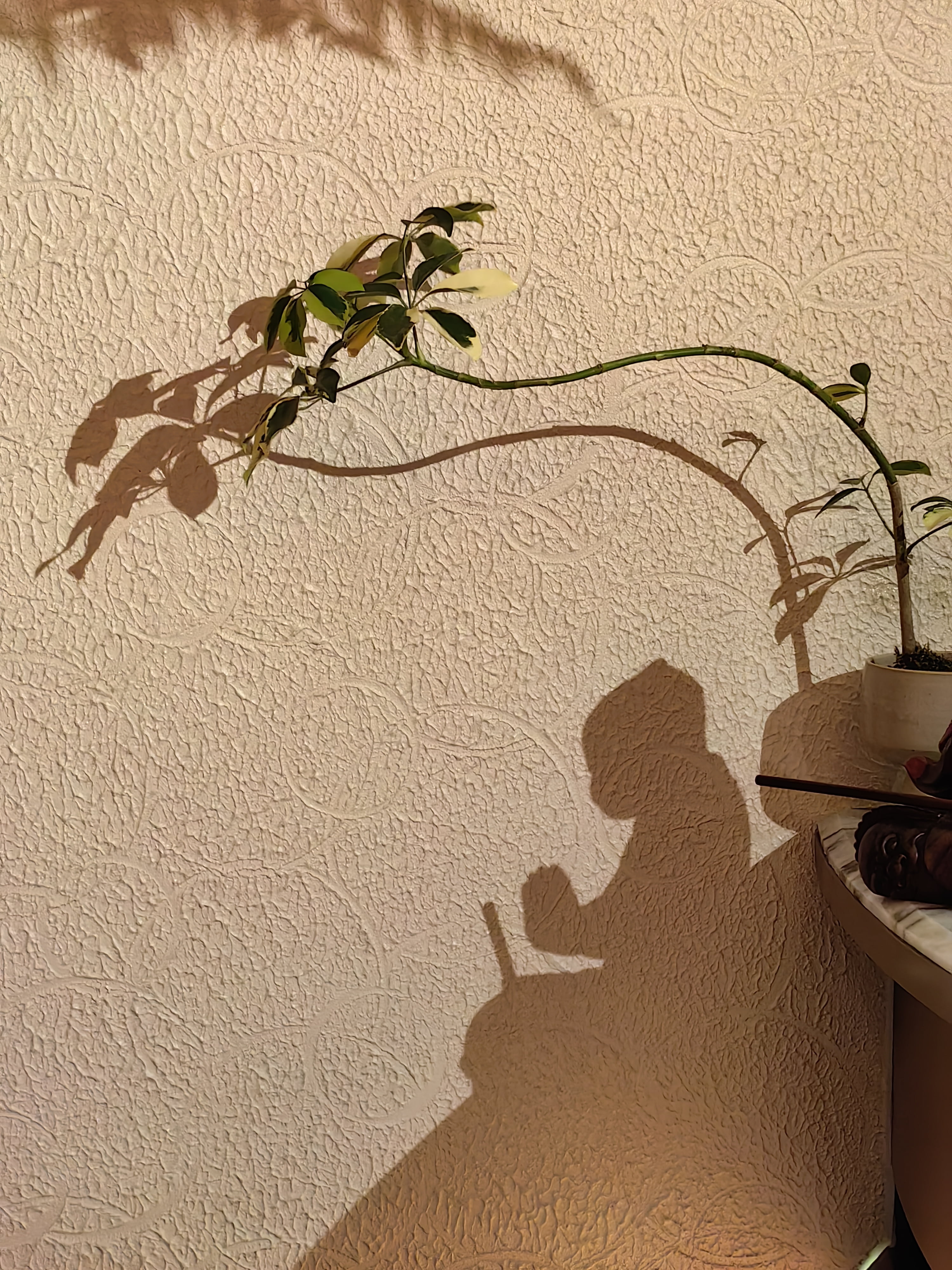 上海浦江淮宴餐厅丨中国上海丨元熙创意设计（北京）有限公司-36