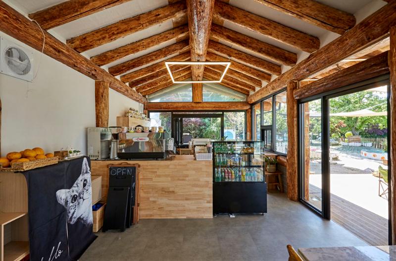 40 平韩屋猫咖，体验复古温馨-7