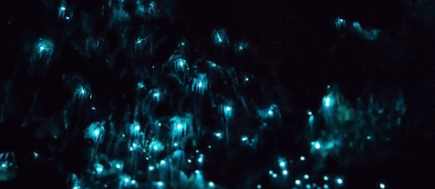 仿生美学 | 景观设计的新视角-47