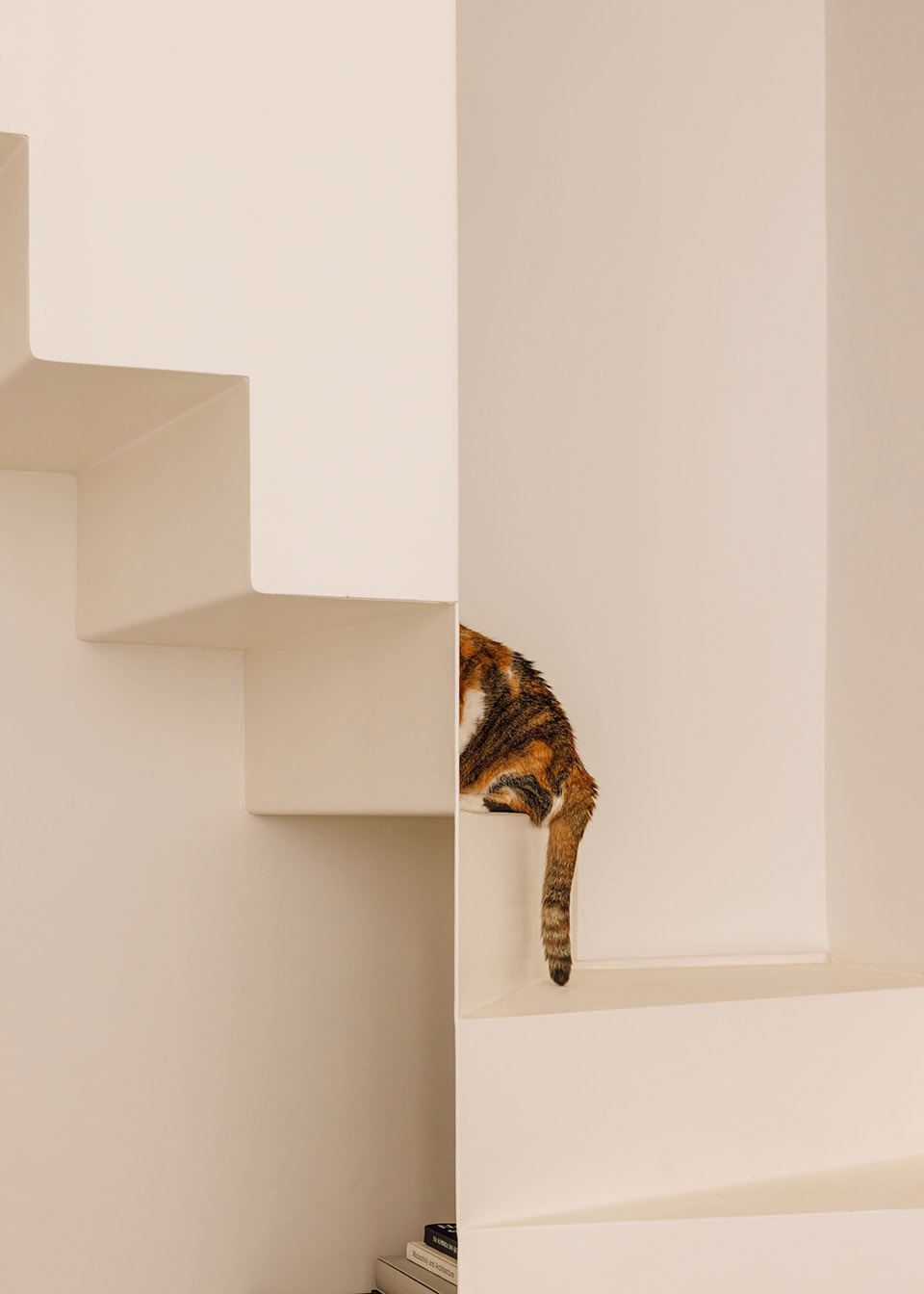 AR 公寓室内设计丨葡萄牙里斯本丨Rita Aguiar Rodrigues 等-53