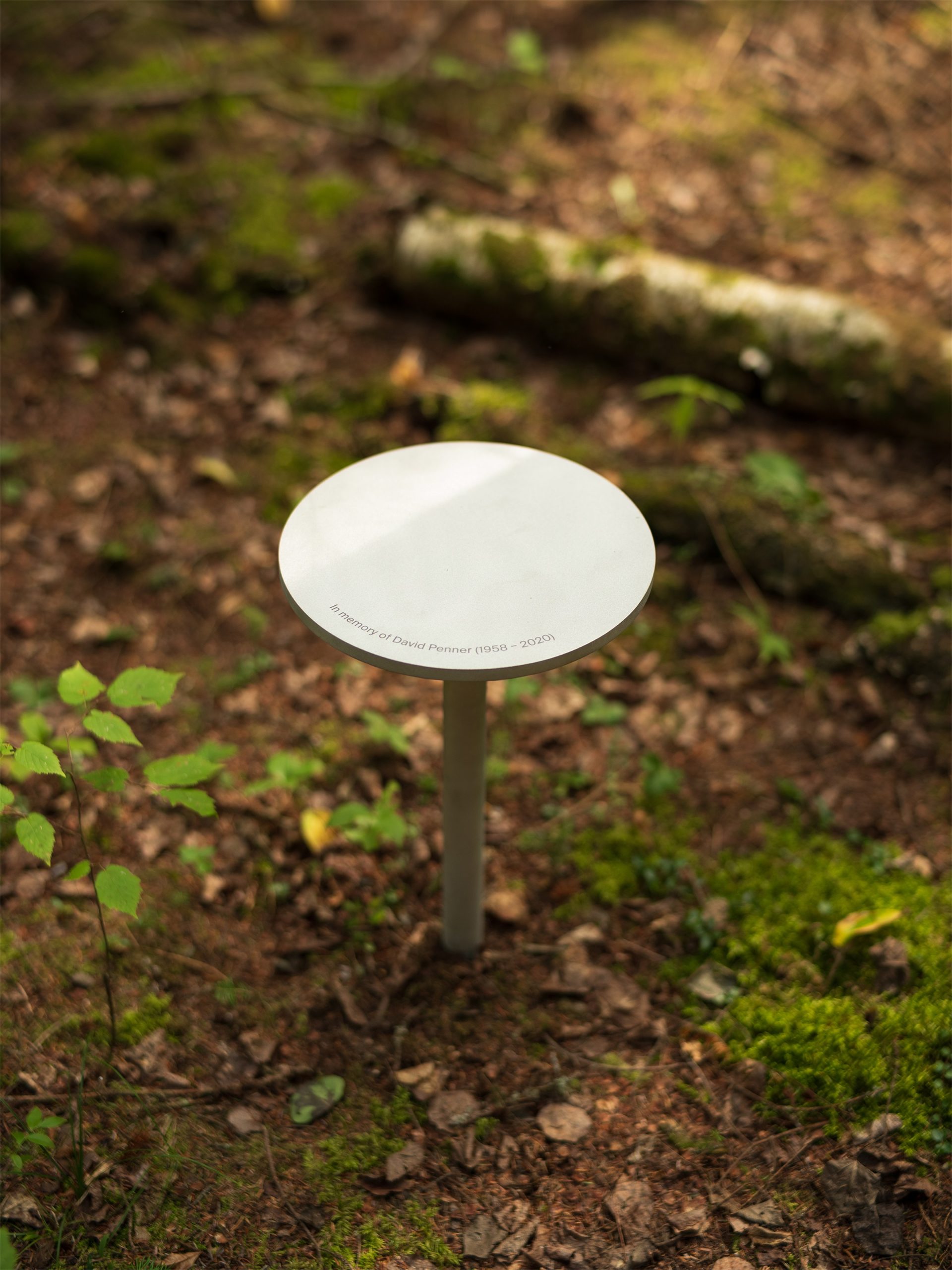 嵌套循环丨加拿大维多利亚丨Thom Fougere-32