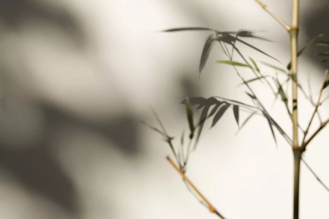 闲读消夏,书卷清凉-32