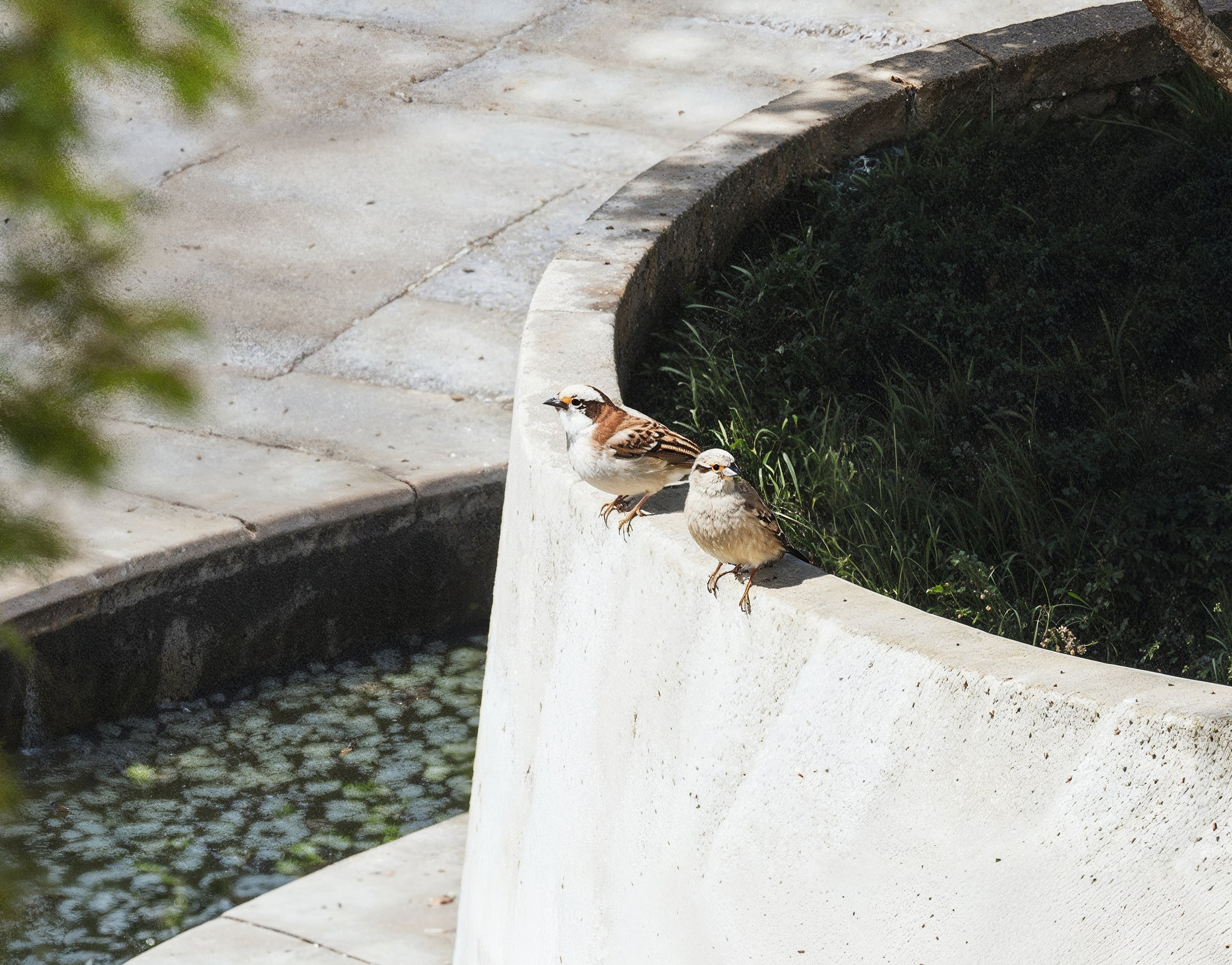餐厅综合概念丨加拿大丨RendHaus-8