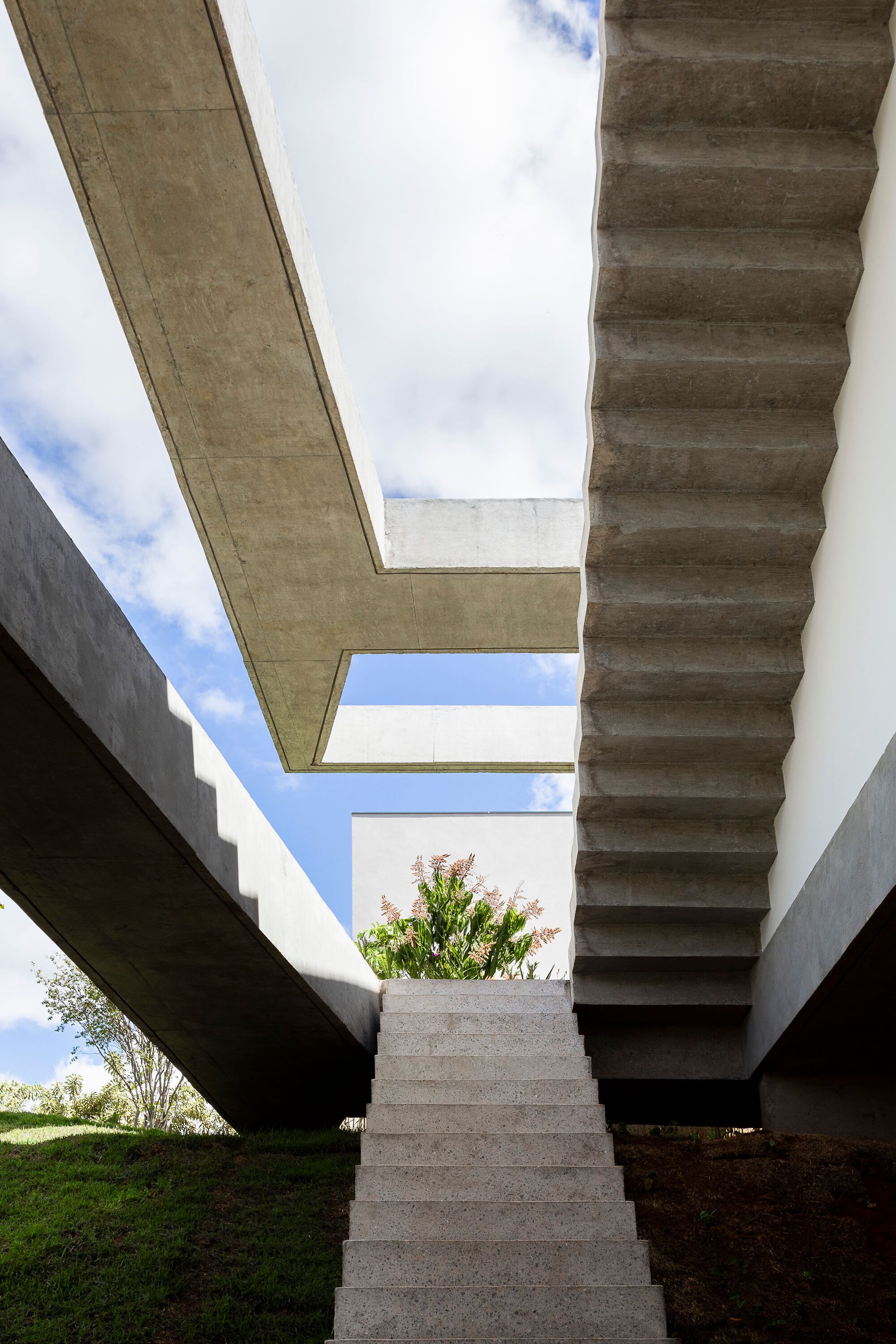 减法屋丨巴西丨FGMF-46