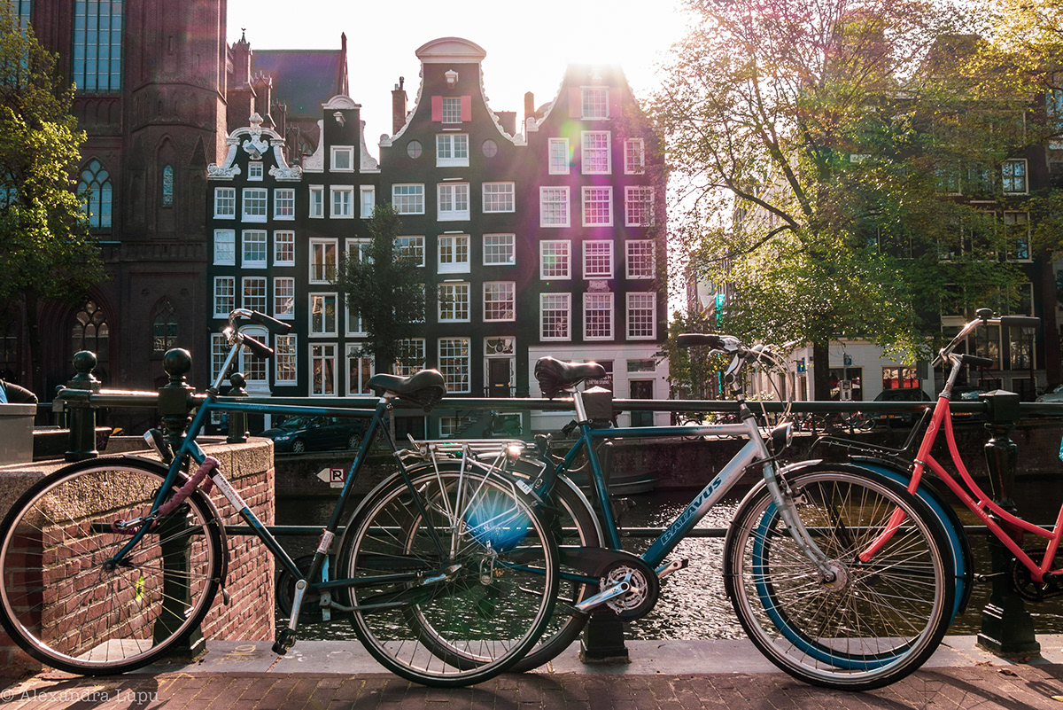 魅力秋日阿姆斯特丹丨荷兰阿姆斯特丹-9