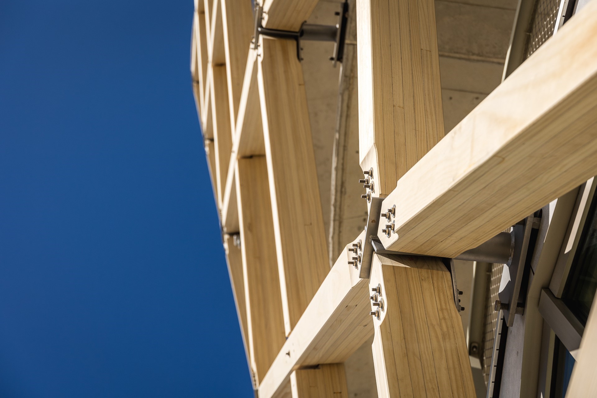 SILT,海边的可持续建筑声明丨比利时丨ZJA,OZ,DELVA和Bureau Bouwtechniek-19