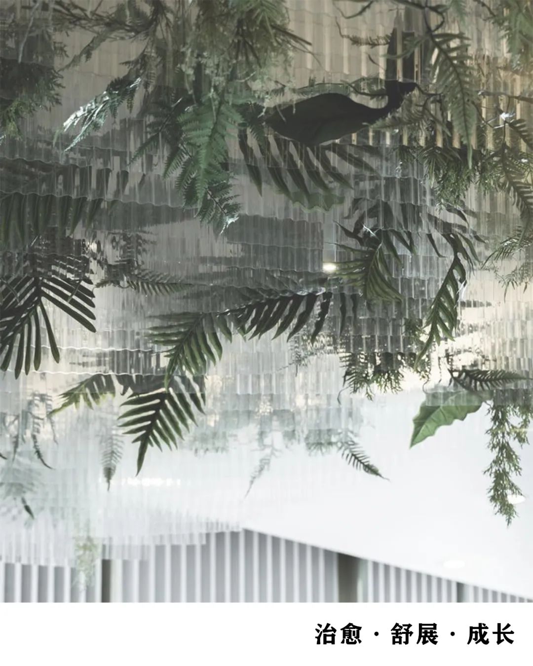 厦门闲适宅邸,自然治愈空间之旅丨中国厦门-1