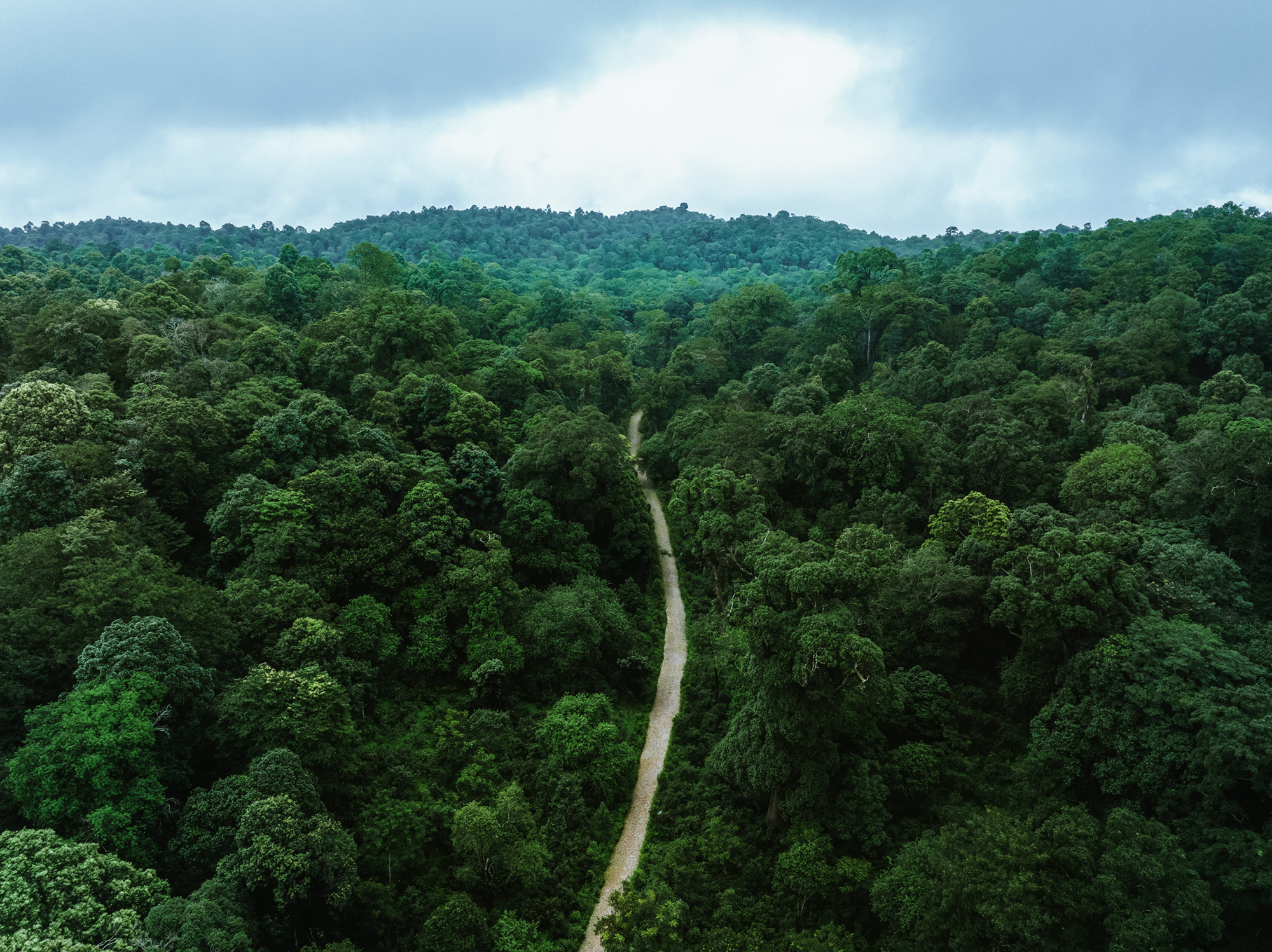 景迈山·茶马古窖丨中国云南丨MASA Studio 建筑事务所-32