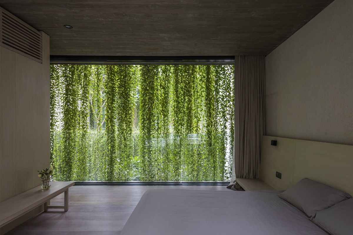 绿色丛林中的现代城市别墅-4