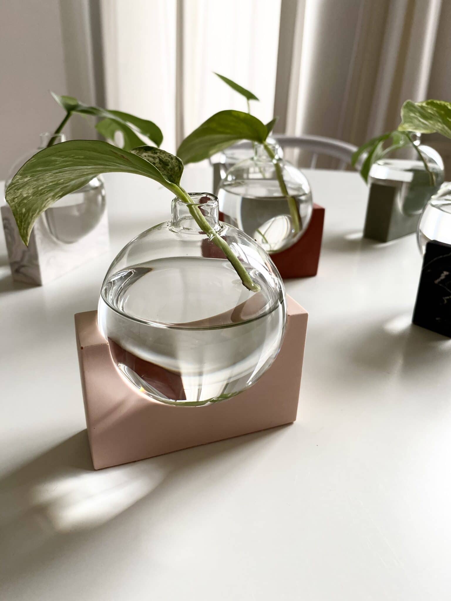 植物剪切新时尚 | 比利时 House Raccoon 设计的水晶 propagation station-9