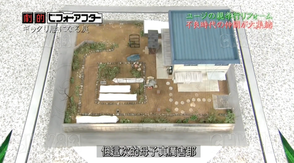 废墟庭院,漏水露台花园改造丨日本大阪丨金井良一-16